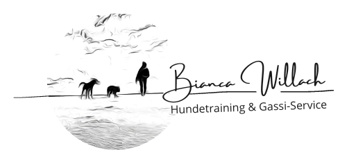 Hundetraining & Gassi-Service Bianca Willach
